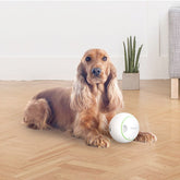 Petgeek Foodie Orb Rolling Ball Treat