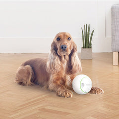 Petgeek Foodie Orb Rolling Ball Treat