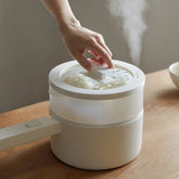 Olayks Electric Cooking Pot