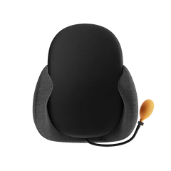 Every Think H1 Air Lumbar Support Pillow