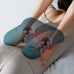 Philips Back and Waist Massager