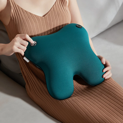 Philips Back and Waist Massager