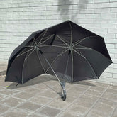 Dual Umbrella