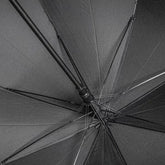 Carbon Fiber Umbrella