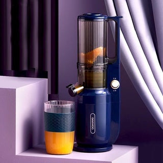 Xiaomi Daewoo Fruit Juicer