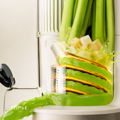 Bear Slow Juicer