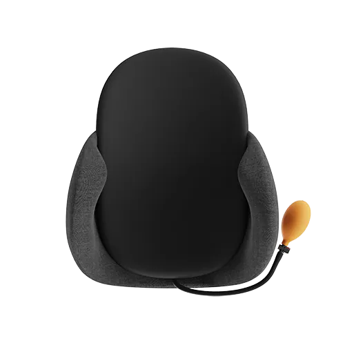Every Think H1 Air Lumbar Support Pillow