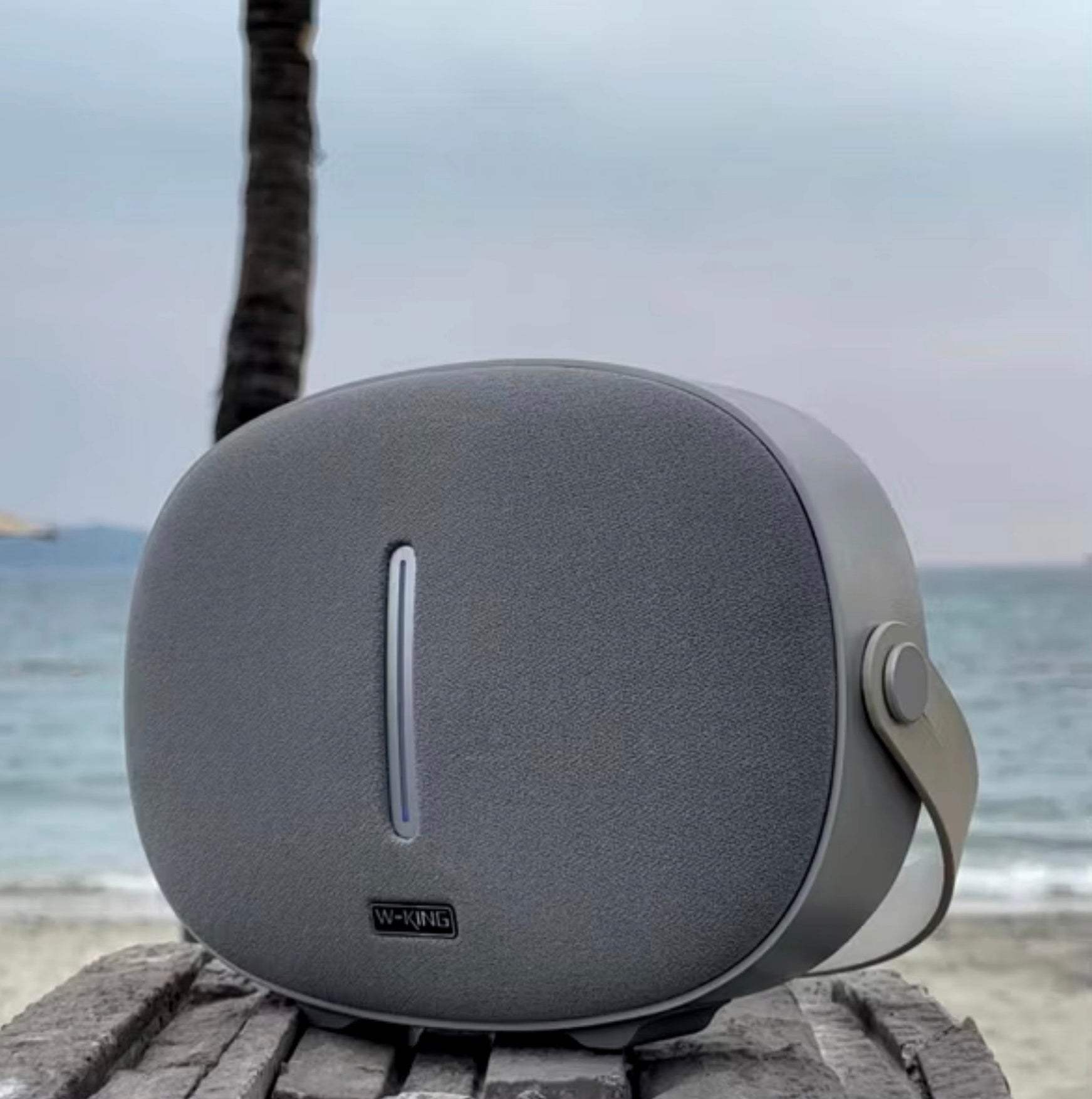 W-king T8 Bluetooth Speaker