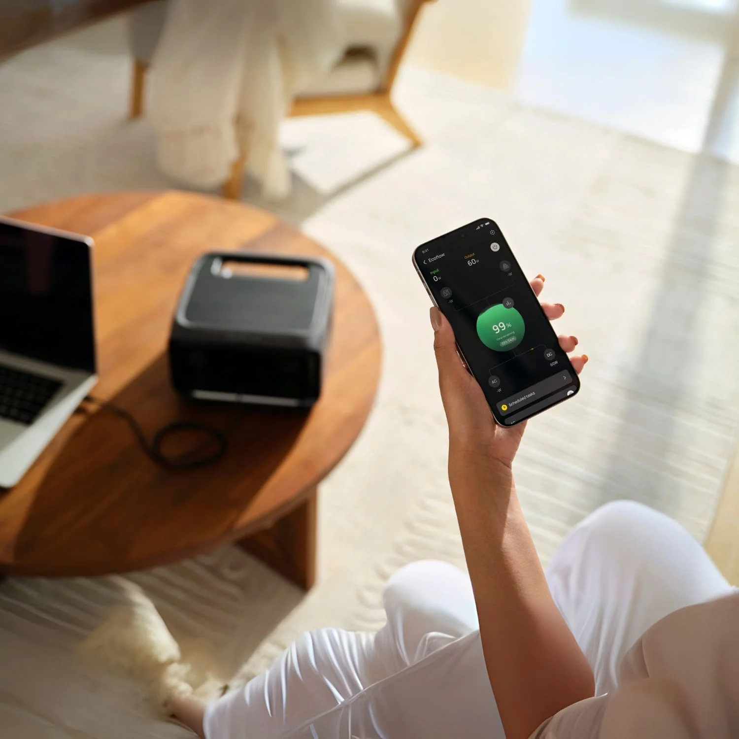 EcoFlow River 3 PLus