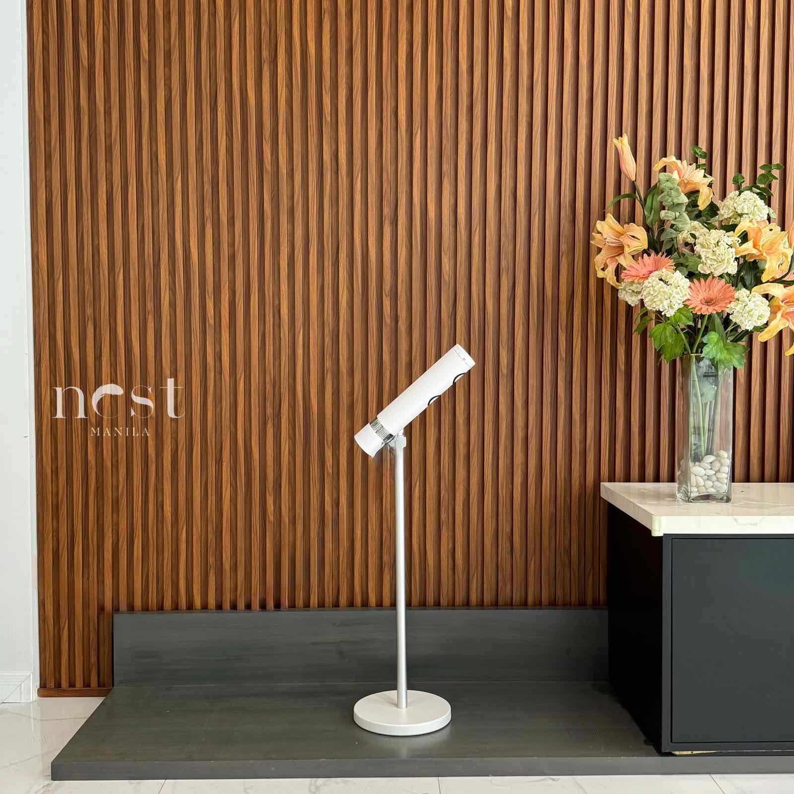 Pinshile Standing Hair Dryer