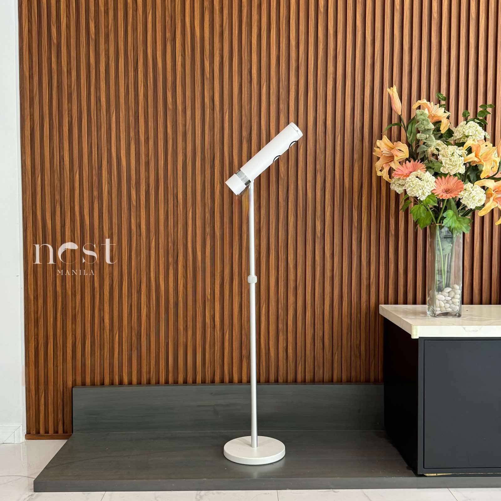 Pinshile Standing Hair Dryer
