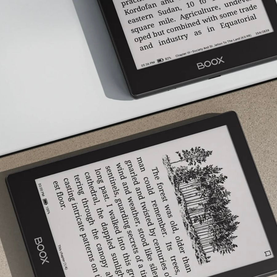 Boox Go 6