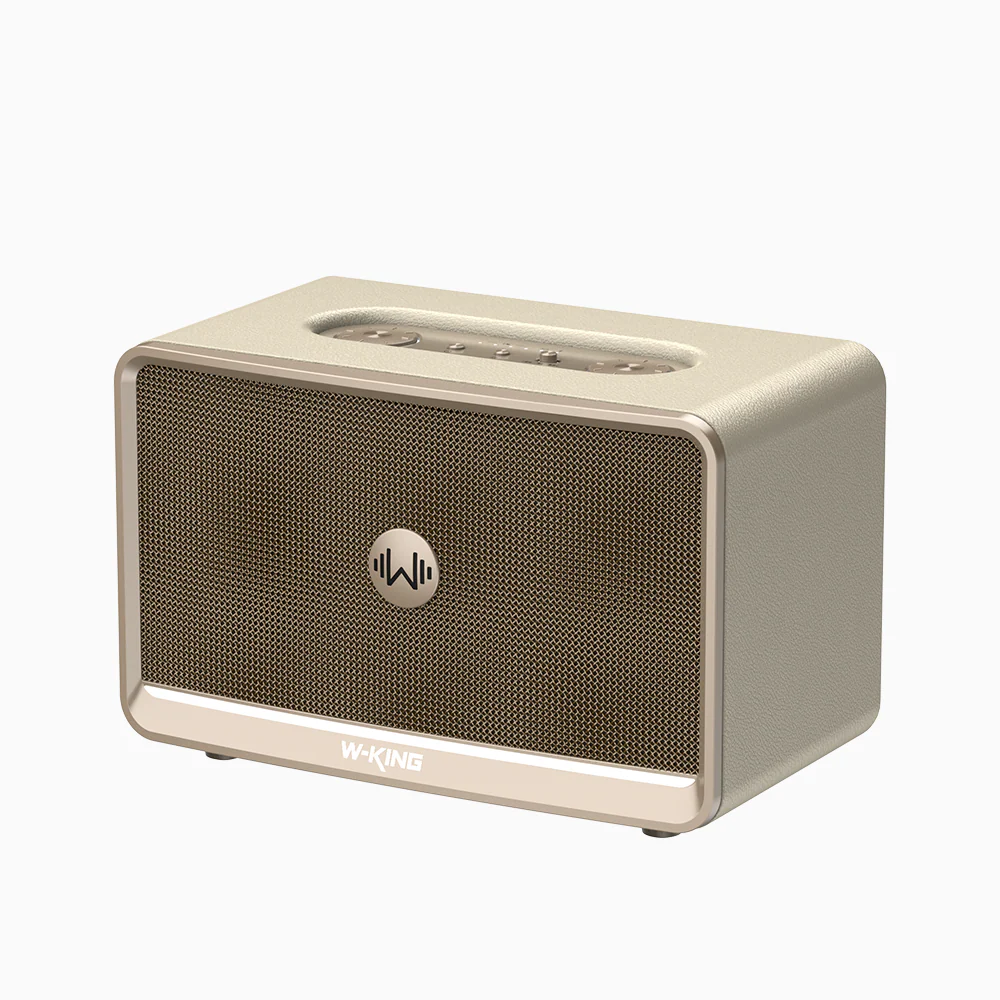 W-King H330 Portable Retro Speaker