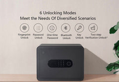 Mijia Smart Safety Box
